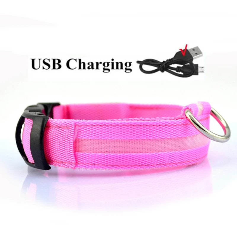 LED Dog Collar