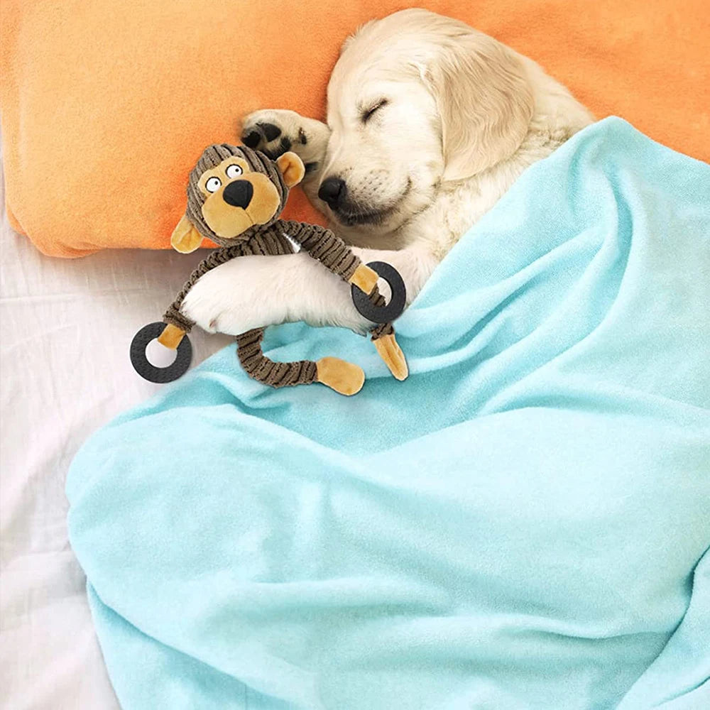 Dog Plush Chew Toy