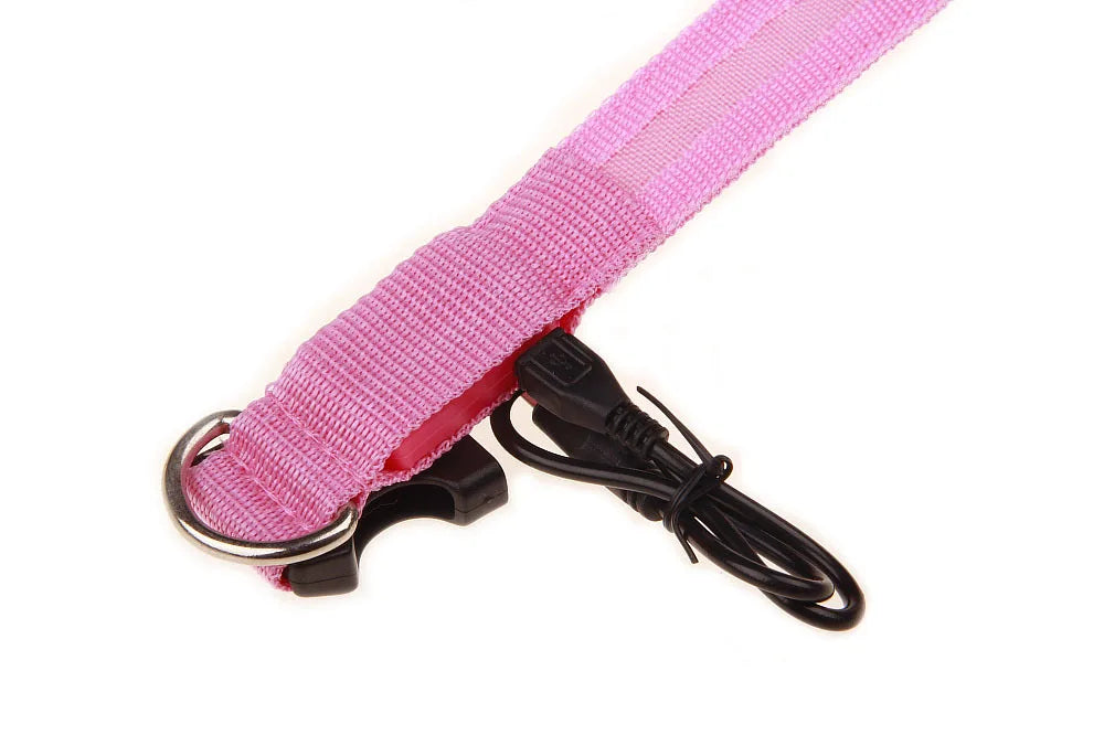 LED Dog Collar