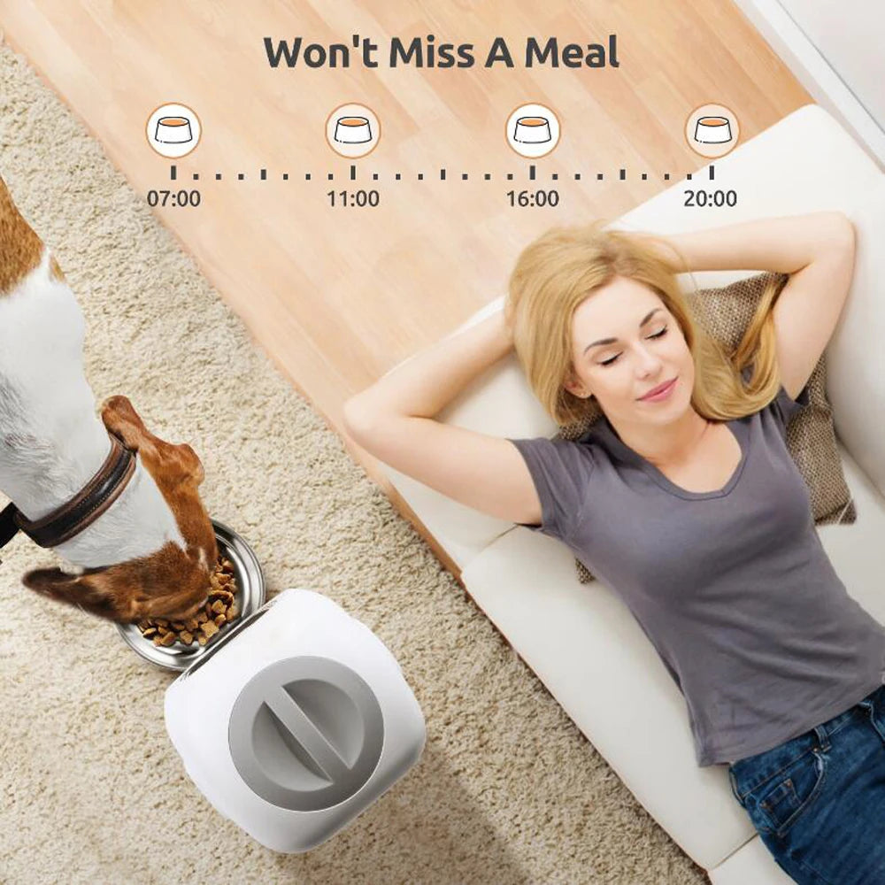 3.5L Automatic Cat Feeder