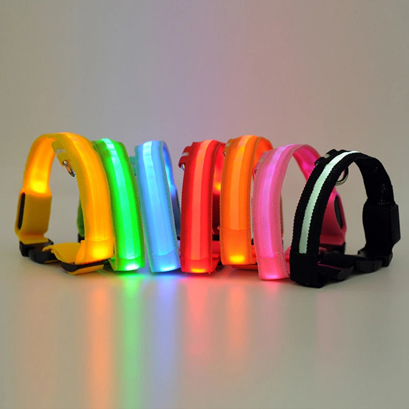 LED Dog Collar