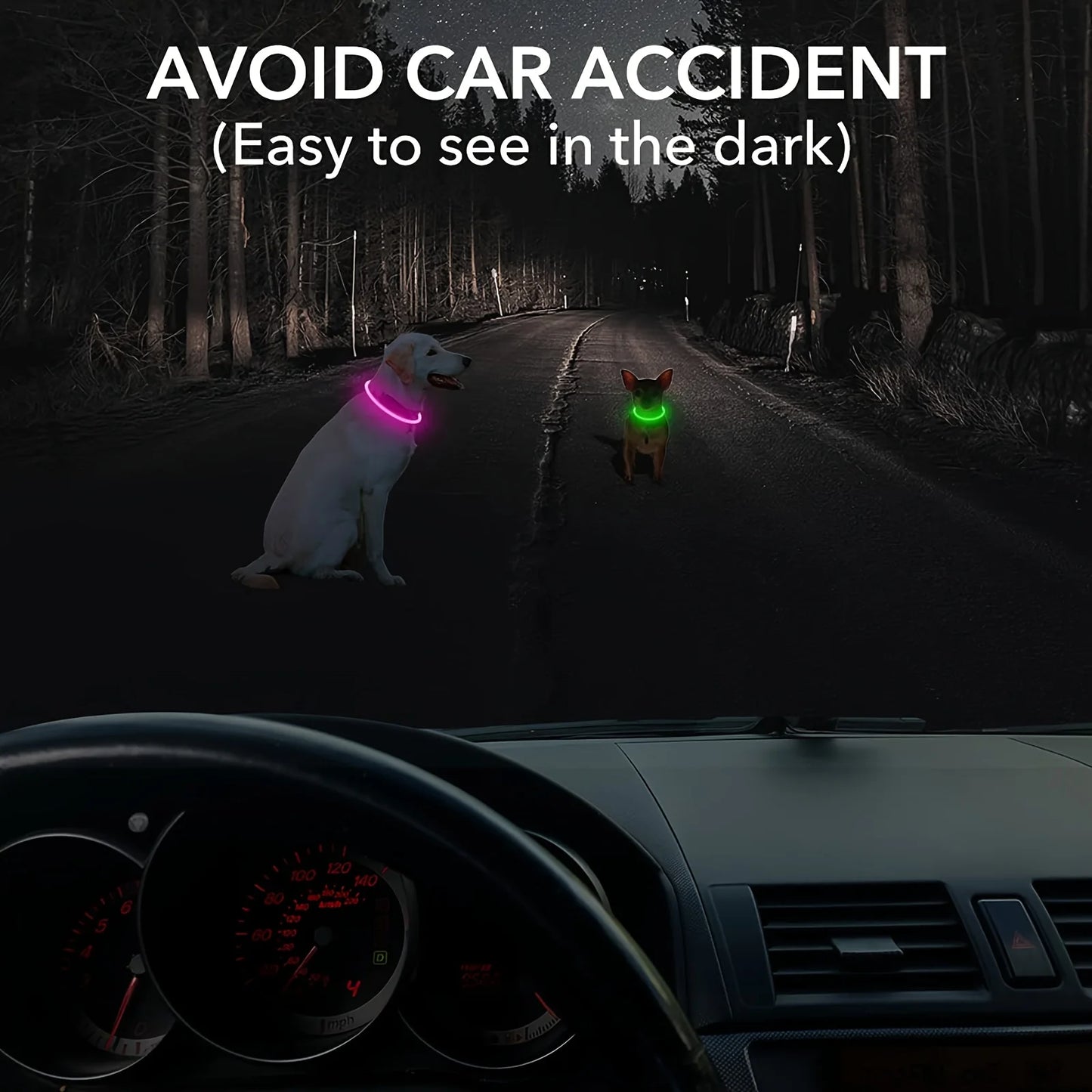 LED Dog Collar