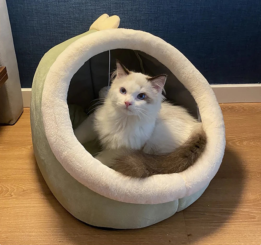 Cat Bed with Cover and Toy