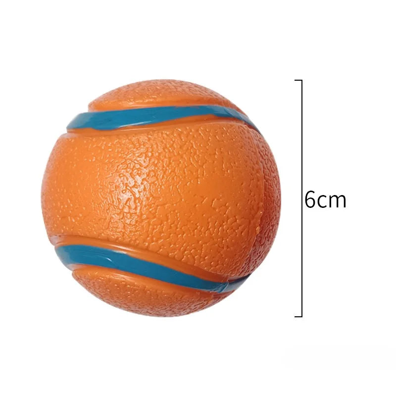 Toy Fetch Ball