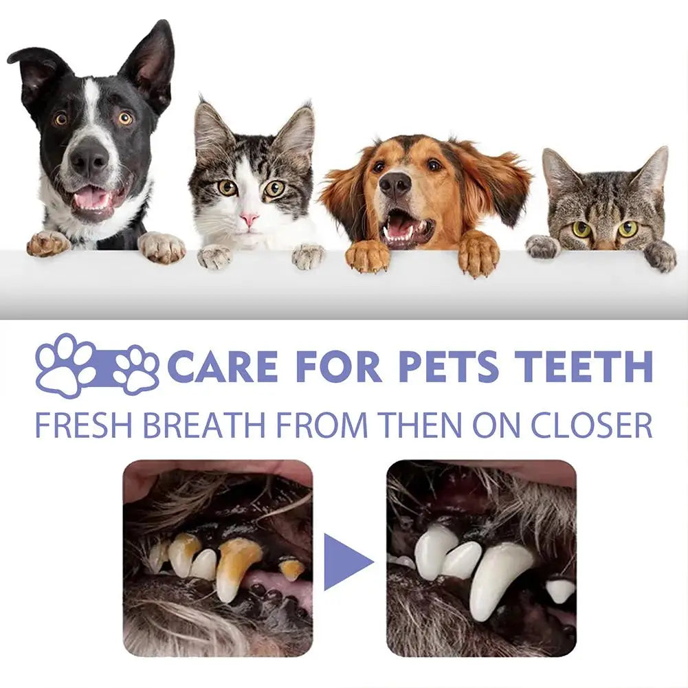 Oral Care Bad Breath/Teeth Cleaning Pet