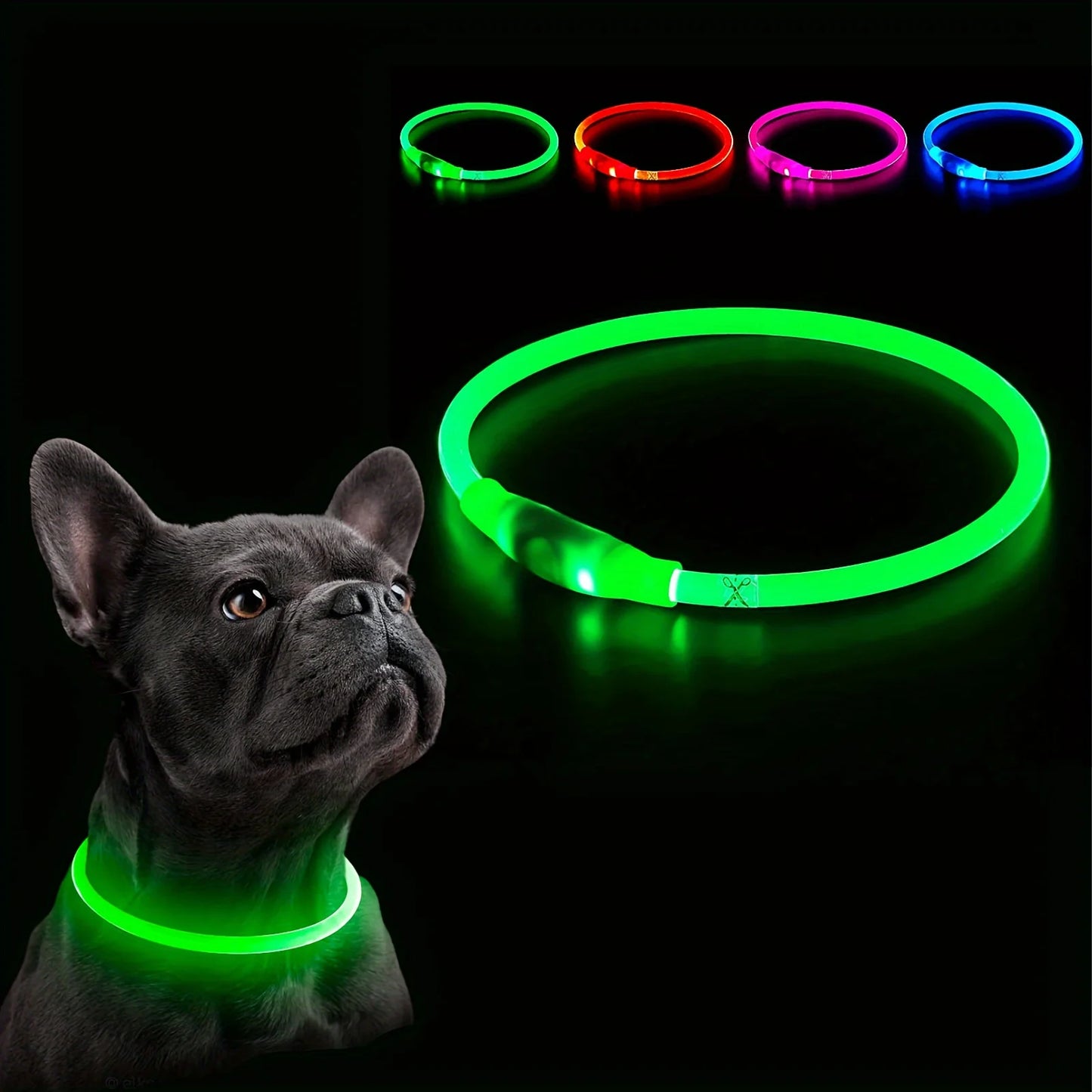 LED Dog Collar
