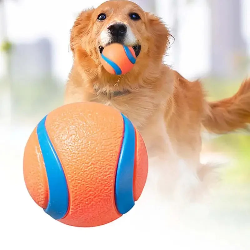 Toy Fetch Ball