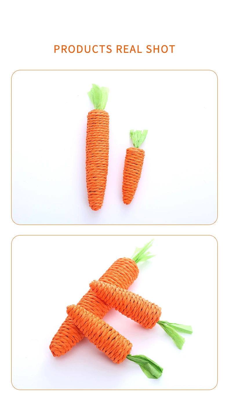 Carrot Cat Toy