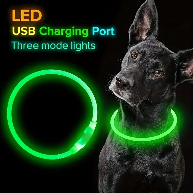 LED Dog Collar