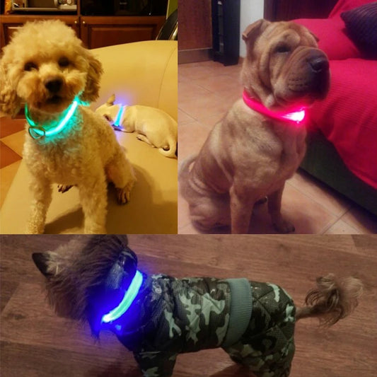 LED Dog Collar