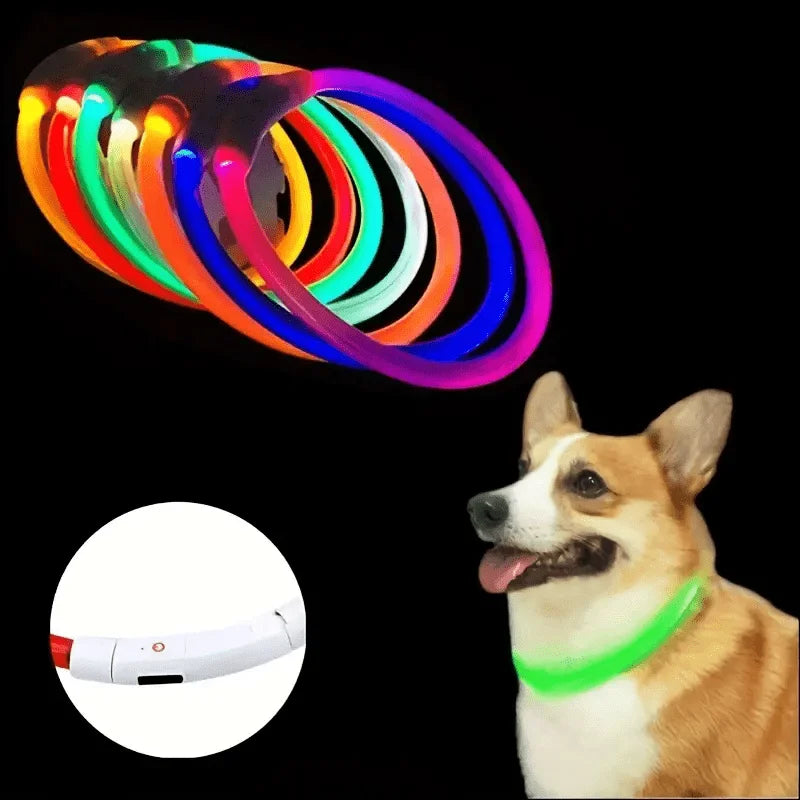 LED Dog Collar