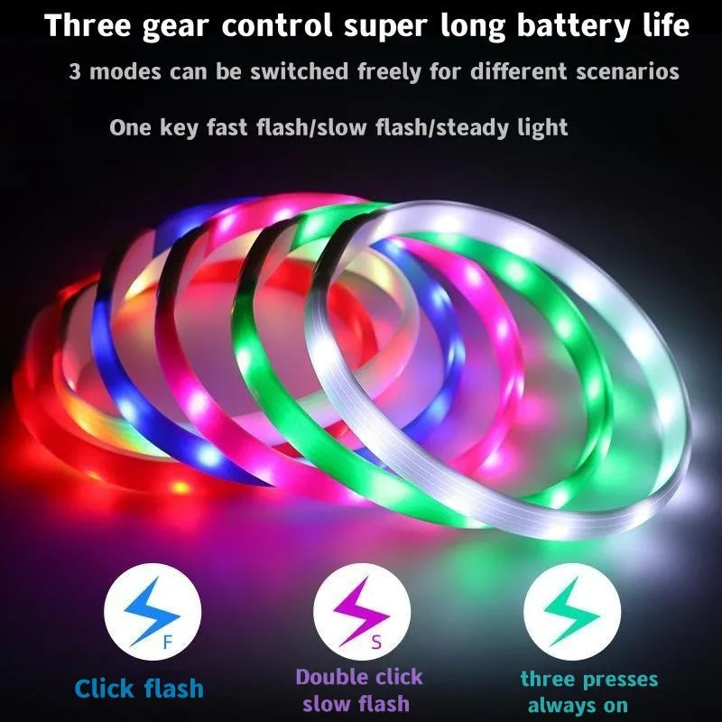 LED Dog Collar