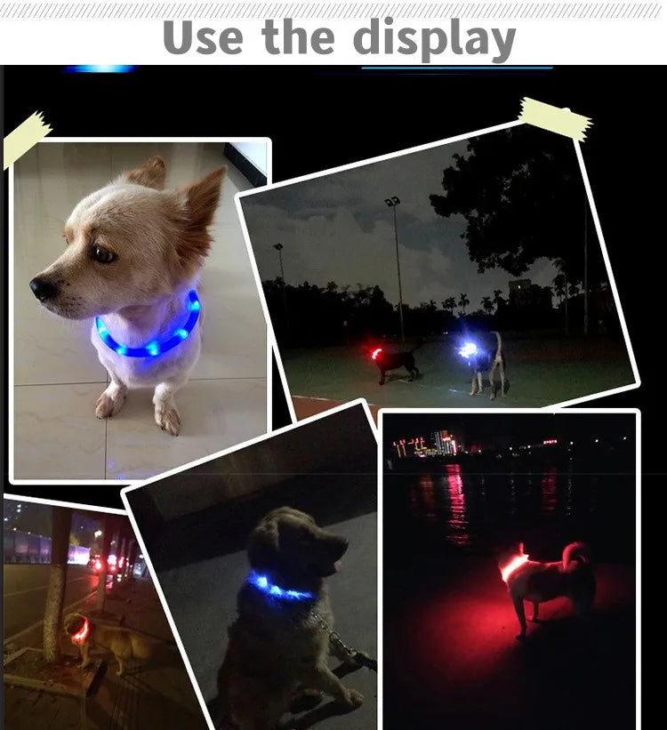LED Dog Collar